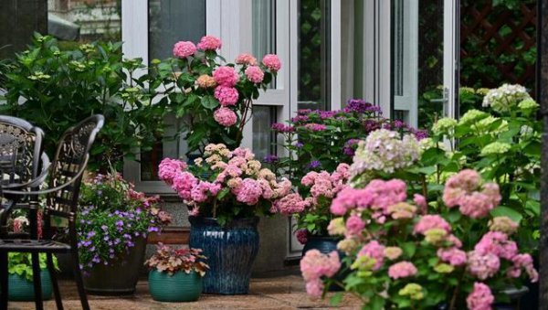 退休后可以学什么技能