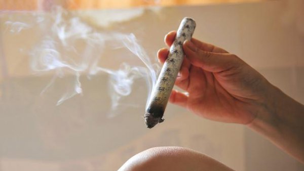 退休后可以学什么技能