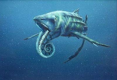 海洋霸主都是什么动物