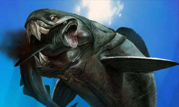 海洋霸主都是什么动物