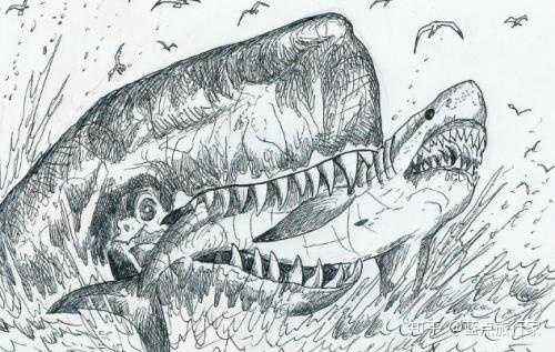 海洋霸主都是什么动物