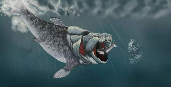 海洋霸主都是什么动物