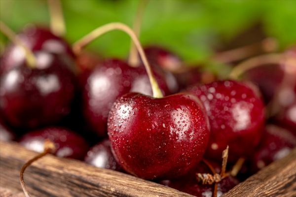 樱桃和车厘子有什么区别