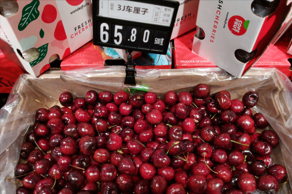 樱桃和车厘子有什么区别