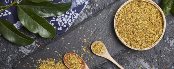 喝桂花茶可以减肥吗