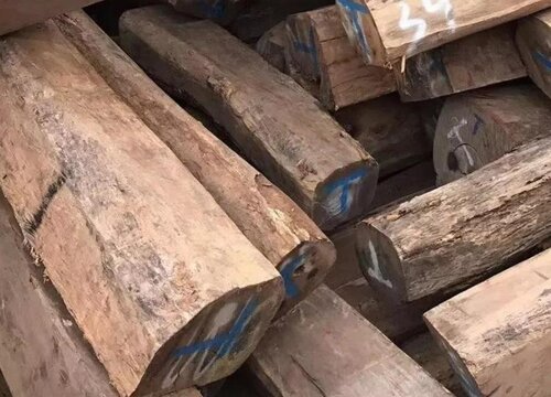 中国十大稀有珍贵名木