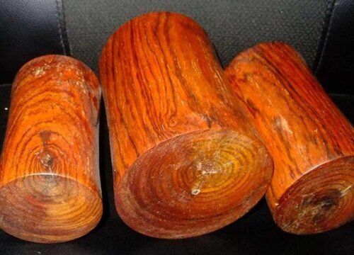 中国十大稀有珍贵名木