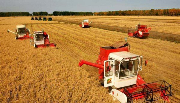 世界四大粮商都是哪个国家的