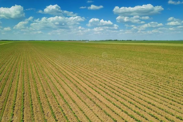 世界四大粮商都是哪个国家的