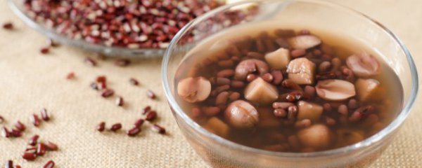 炖莲子莲子要泡多久