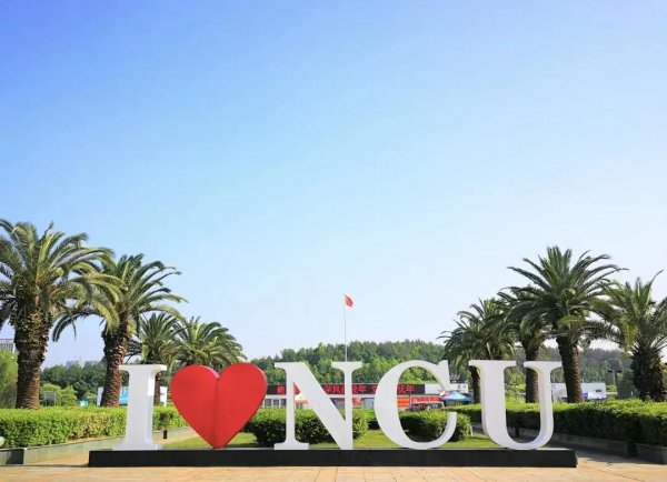 南昌大学有哪些专业及排名