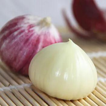 独头蒜种下去长出来的还是独头蒜吗