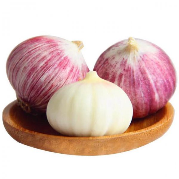 独头蒜种下去长出来的还是独头蒜吗