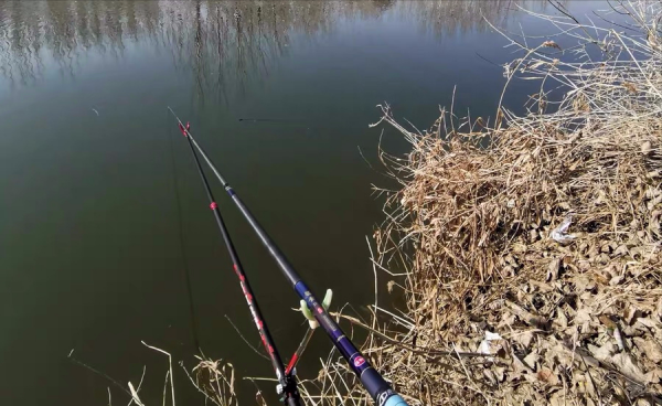 十大品牌鱼竿有哪些