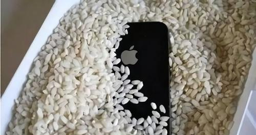 苹果11掉水里了应该如何处理