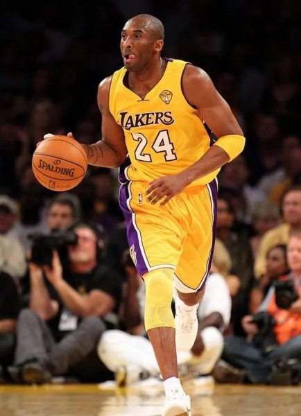 打篮球的基本动作