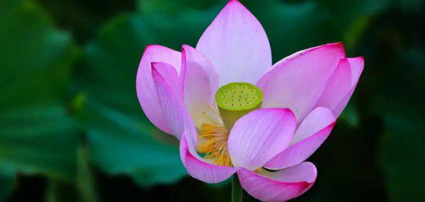 频繁聊天后突然冷淡的原因