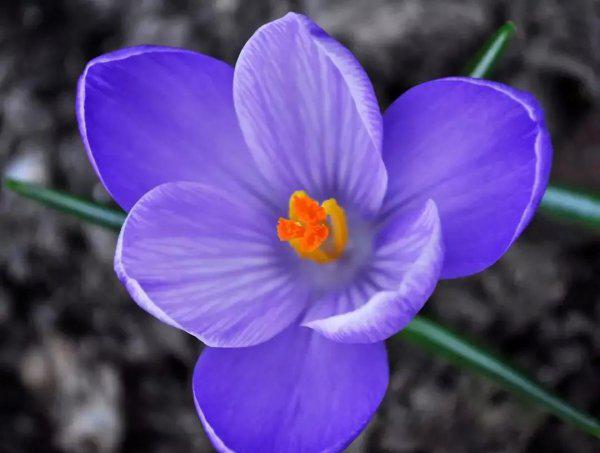 频繁聊天后突然冷淡的原因