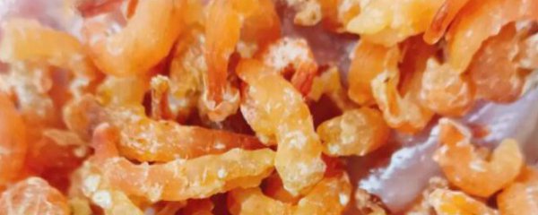 干虾仁干鱿鱼如何保存