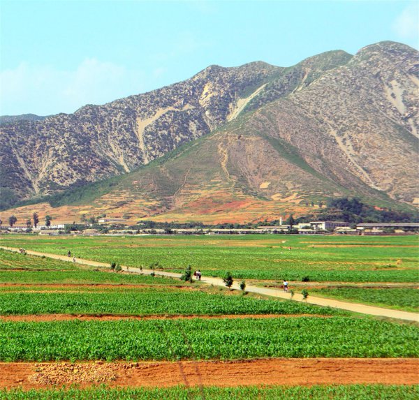 朝鲜有多少人口