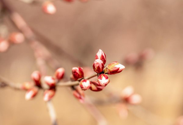 怎么让男人重新爱上你小妙招
