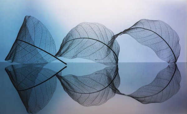 怎么让男人重新爱上你小妙招