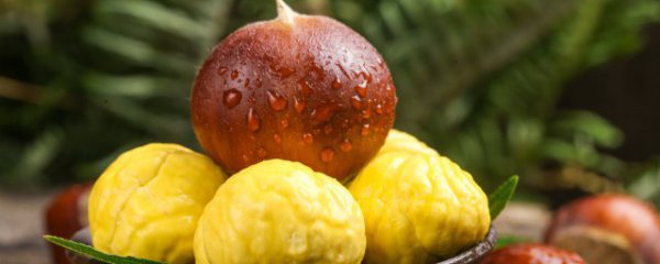 生栗子怎么保鲜