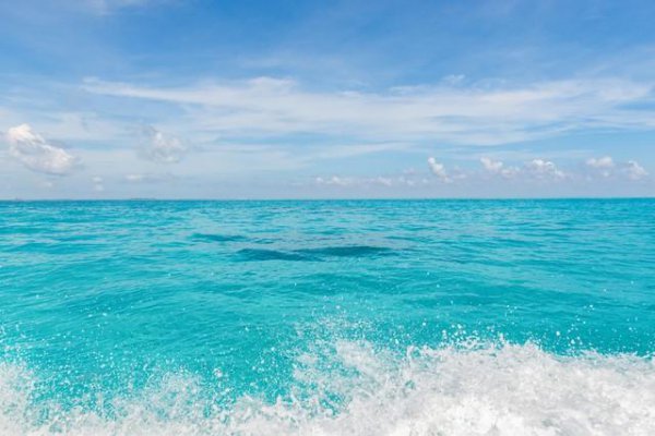 我国面积最大的海域是哪里