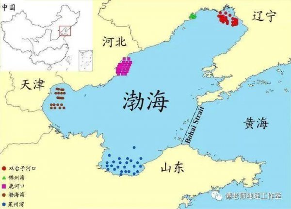 我国面积最大的海域是哪里