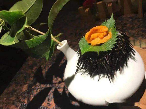 我国面积最大的海域是哪里