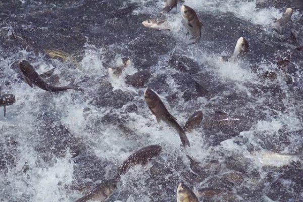 我国面积最大的海域是哪里