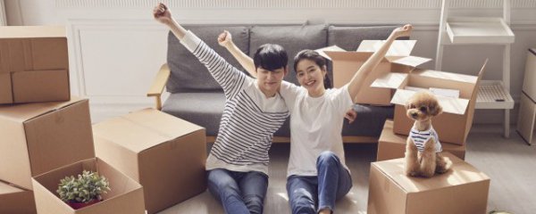 新房乔迁适合送什么花束