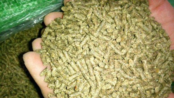 兔子吃什么草长得快又胖