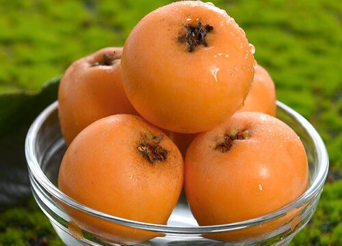 武汉枇杷什么时候成熟