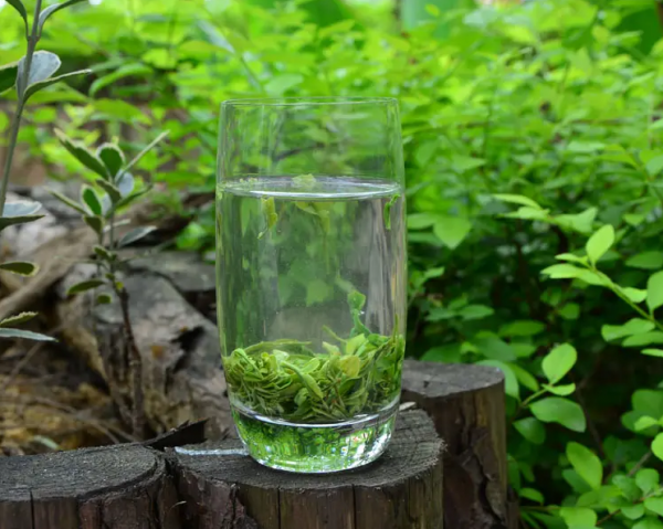 碧露春茶为什么香味浓