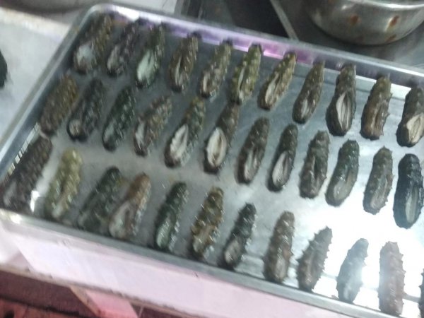 无刺海参和有刺海参哪个好吃