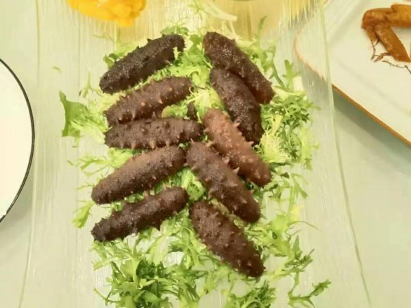 无刺海参和有刺海参哪个好吃