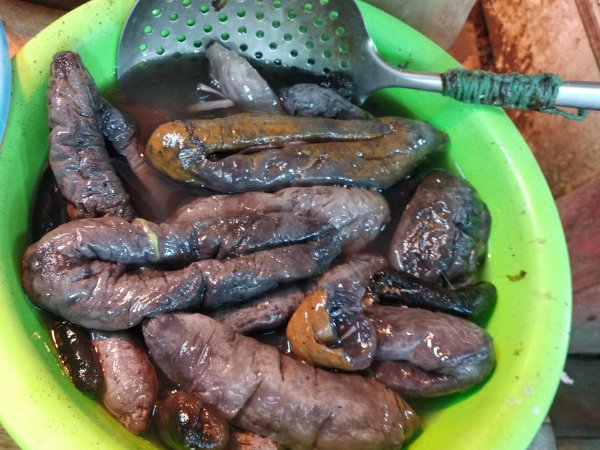 无刺海参和有刺海参哪个好吃