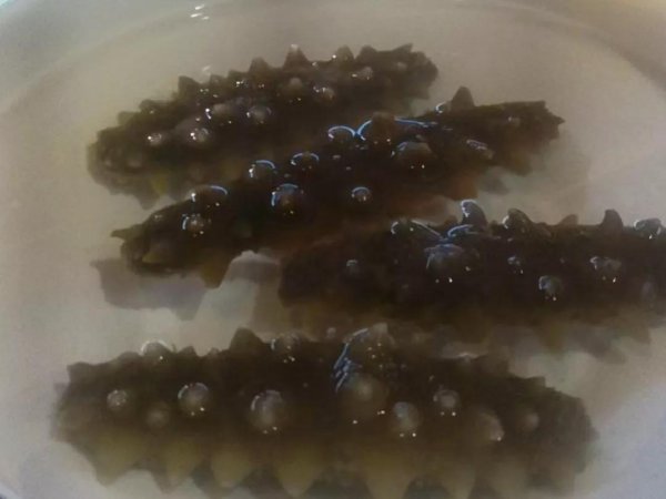 无刺海参和有刺海参哪个好吃