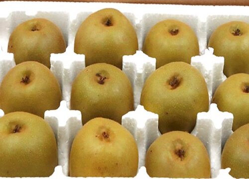 如何挑选猕猴桃才好吃