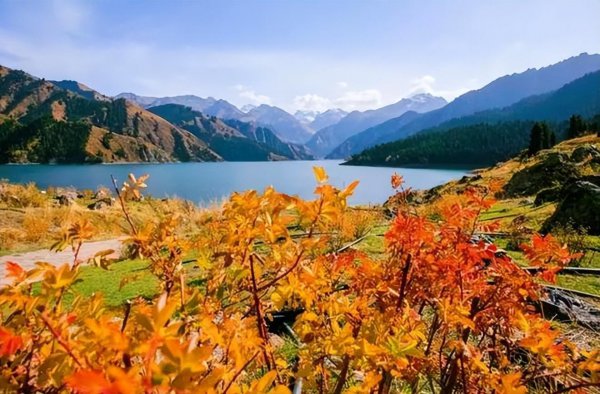 西藏和新疆哪个更值得去玩