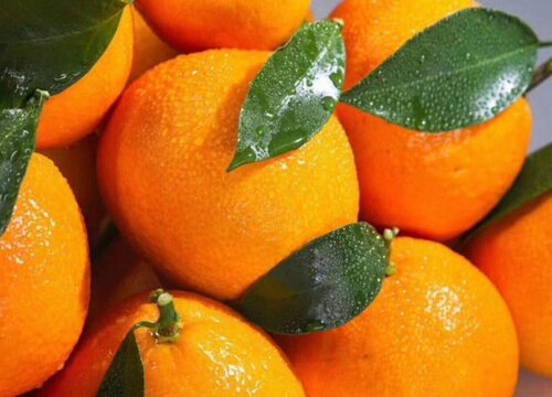 三四月份什么水果是最当季