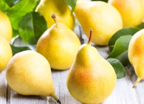 三四月份什么水果是最当季