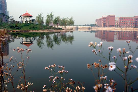 滨州是属于哪个省市