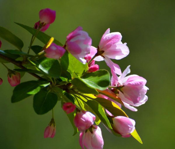 怎样改变风水让孩子提高成绩