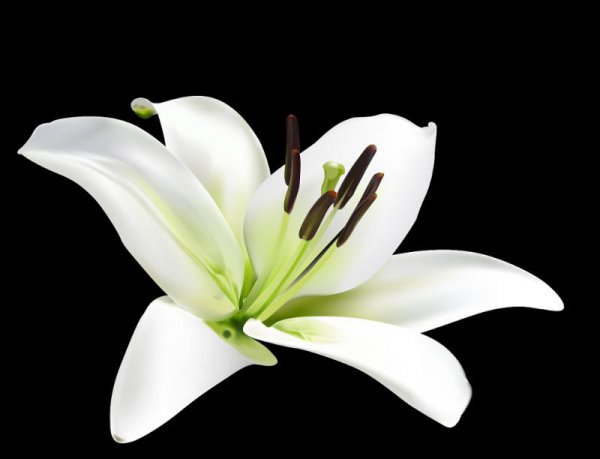 怎样改变风水让孩子提高成绩