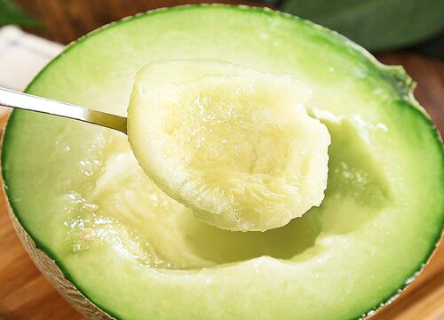 玫珑瓜和哈密瓜的区别