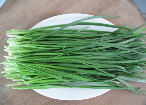 家里种韭菜有什么忌讳