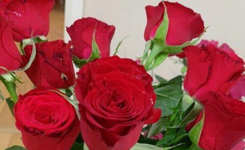 玫瑰花的样子，颜色，气味，其他形状姿态怎么描写形容