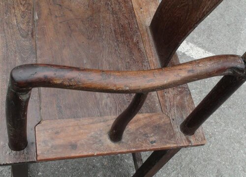 我国四大名树是什么木